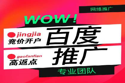 竞价推广SEM托管服务案例解析